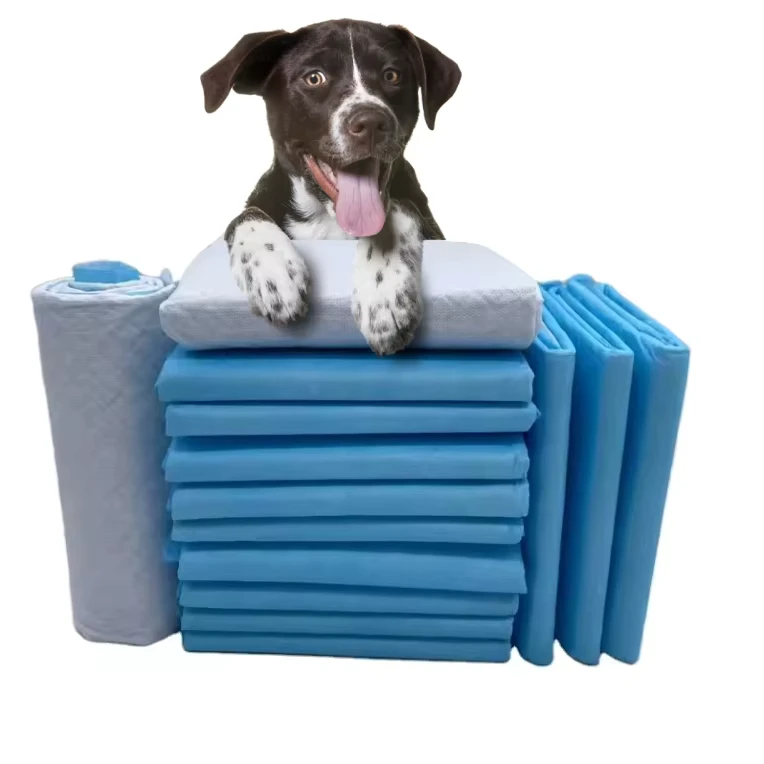 20pcs-XL-Disposable-Pet-Pee-Diapers-Thickened-Dog-Training-Pads-Absorbent-Quick-Dry-Dog-Urine-Pad 20pcs XL Disposable Pet Pee Diapers Thickened Dog Training Pads Absorbent Quick Dry Dog Urine Pad