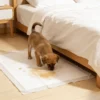 6-Layer Thickened Puppy Training Pads High Absorbent Dog Hygienic Pee Pads Disposable Waterproof Pet Diaper Mats 1 6 Layer Thickened Puppy Training Pads High Absorbent Dog Hygienic Pee Pads Disposable Waterproof Pet Diaper Mats