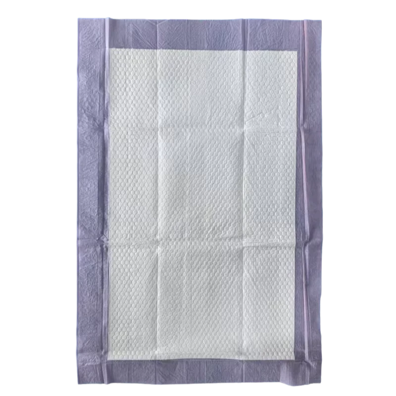 60x90cm-Disposable-Breathable-Blue-Underpad-Super-Absorbent-Class-II-Medical-Grade-CE-Certified-OEM-Brand 60x90cm Disposable Breathable Blue Underpad Super Absorbent Class II Medical Grade CE Certified OEM Brand