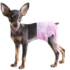 Adjustable Tail Opening Poo Contained Design Breathable Foam Padded Non woven SAPPE Fluff Pulp Dog Diapers Super Lock 2 Adjustable Tail Opening Poo Contained Design Breathable Foam Padded Non woven SAPPE Fluff Pulp Dog Diapers Super Lock