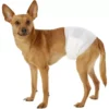 Big Size Pet Dog Accessories Pet Products Disposable Dog Male Pet Waterproof Diapers Dog Diapers 1