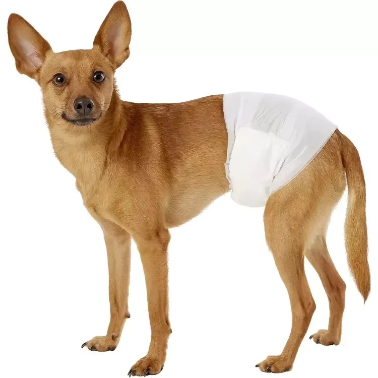 Big-Size-Pet-Dog-Accessories-Pet-Products-Disposable-Dog-Male-Pet-Waterproof-Diapers-Dog-Diapers-1 Big Size Pet Dog Accessories Pet Products Disposable Dog Male Pet Waterproof Diapers Dog Diapers 1