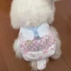 Biodegradable Environmental Disposable Waterproof Non Woven Printed Custom Design Pet Diapers Leak Guard Dog 1 Biodegradable Environmental Disposable Waterproof Non Woven Printed Custom Design Pet Diapers Leak Guard Dog