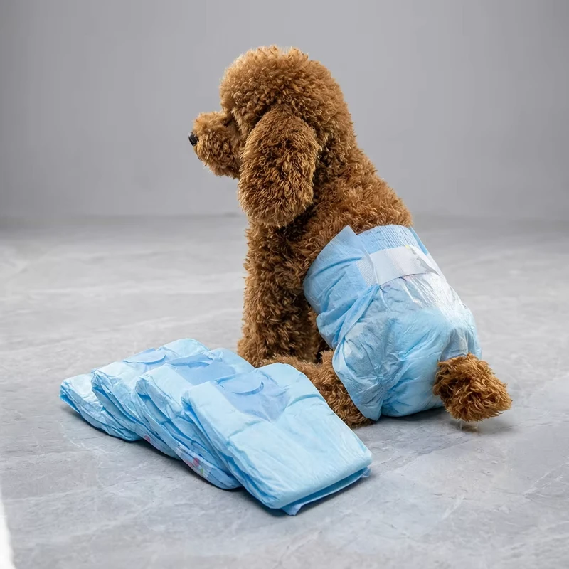 Bulk-Leak-Proof-Dog-Diaper-18-Years-Expertise-CE-ISO-Certified-OEM-Factory-Direct-Eco-Friendly-Disposable-Pet-Diapers Bulk Leak Proof Dog Diaper 18 Years Expertise CE ISO Certified OEM Factory Direct Eco Friendly Disposable Pet Diapers
