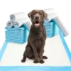 Coastal Heavy Absorbency Leak Protection Disposable Pet Training Pads for Dogs Cats 2