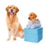 Custom Logo Disposable Eco Material Leakproof Quick Dry Super Absorbent Extra Large Puppy Potty Training Pee Pads for Dogs 1 Custom Logo Disposable Eco Material Leakproof Quick Dry Super Absorbent Extra Large Puppy Potty Training Pee Pads for Dogs 5