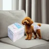 Direct Factory Sale Soft and Water Proof Female Dog Pet Pee Diaper Pants China 1