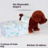 Disposable Diapers FlashDry Dog Diapers & Sanitary Pants Male Female Use Polymer Absorbent Simple Packaging 1 Disposable Diapers FlashDry Dog Diapers Sanitary Pants Male Female Use Polymer Absorbent Simple Packaging 1