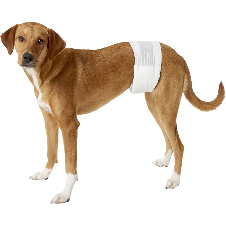 Disposable-Diapers-FlashDry-Gel-Technology-Male-Dog-Wraps-Puppy-Nappy-Wetness-Indicator-1 Disposable Diapers FlashDry Gel Technology Male Dog Wraps Puppy Nappy Wetness Indicator 1