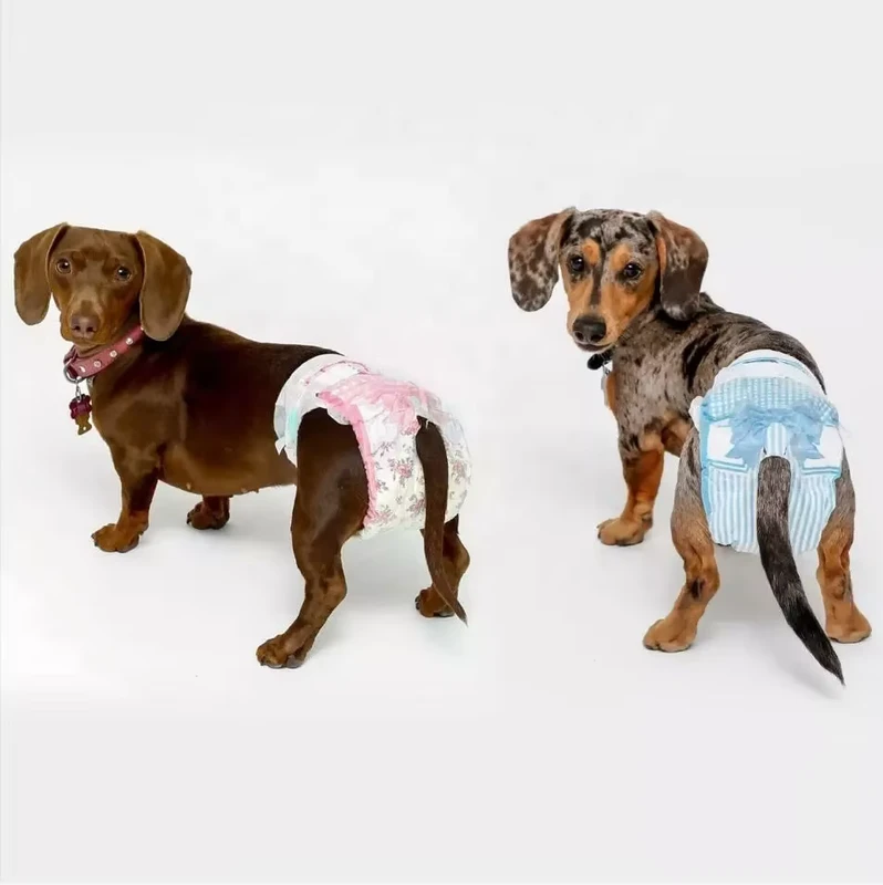 Disposable-Dog-Cat-Pamper-for-Male-and-Female-Dog-Disposable-Pet-Diaper Disposable Dog Cat Pamper for Male and Female Dog Disposable Pet Diaper