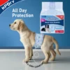 Disposable Dog Diaper for Male and Female Dog Cats Rabbits 2