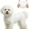 Disposable Dog Diapers , 360°Leak-Proof Full Wrap Stretchy Waist, Highly Absorbent Diapers for Female Male Dog ( 10PCS) 2 Disposable Dog Diapers 360Leak Proof Full Wrap Stretchy Waist Highly Absorbent Diapers for Female Male Dog 10PCS 1