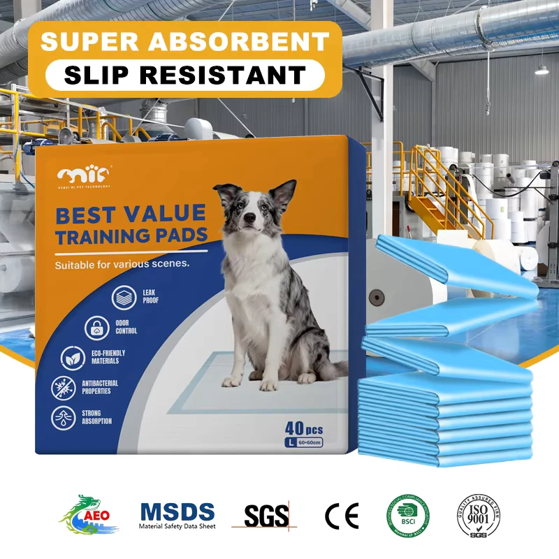 Disposable-Dog-Toilet-Pads-Fast-Absorption-Water-Lock-Pet-Training-Pads-Custom-Brand-OEM-ODM Disposable Dog Toilet Pads Fast Absorption Water Lock Pet Training Pads Custom Brand OEM ODM