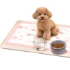 Disposable Dog Urine Pad with Printed Design Absorbent Waterproof Breathable Deodorizing Hygienic Training Pad