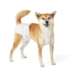 Disposable Pet Dog Cat Diaper Nappy Male Female Quality PE Film Free Sample Low Price Golden Supplier Pet Dog Cat Diaper 2 Disposable Pet Dog Cat Diaper Nappy Male Female Quality PE Film Free Sample Low Price Golden Supplier Pet Dog Cat Diaper 1