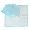 Disposable Puppy Pee Pad Dog Toilet Training Mat Pet Supplies Dog Potty Absorbent Urine Pet Pads 1