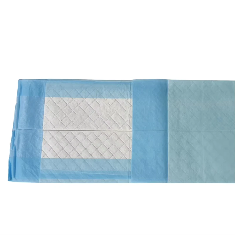 Disposable-Underpads-23-x36-Leakproof-Adults-Bed-Pads-Incontinence-Pads-for-Elderly-Patients-or-Pets-10-Count-bag Disposable Underpads 23 x36 Leakproof Adults Bed Pads Incontinence Pads for Elderly Patients or Pets 10 Count bag