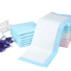 Disposable Waterproof Medical Adult Underpad Nursing Elderly Diapers with Toilet Tissue Adults Waterproof Bed Sheet