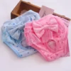 Dog Diapers Washable Reusable Pet Physiological Pants Lace Princess Menstrual Pants 1