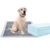 Dog Pads Super Absorbent Pet Diaper Training Pee Pads Disposable Healthy Nappy Dog Pads With Quick Dry Surface Mat 2