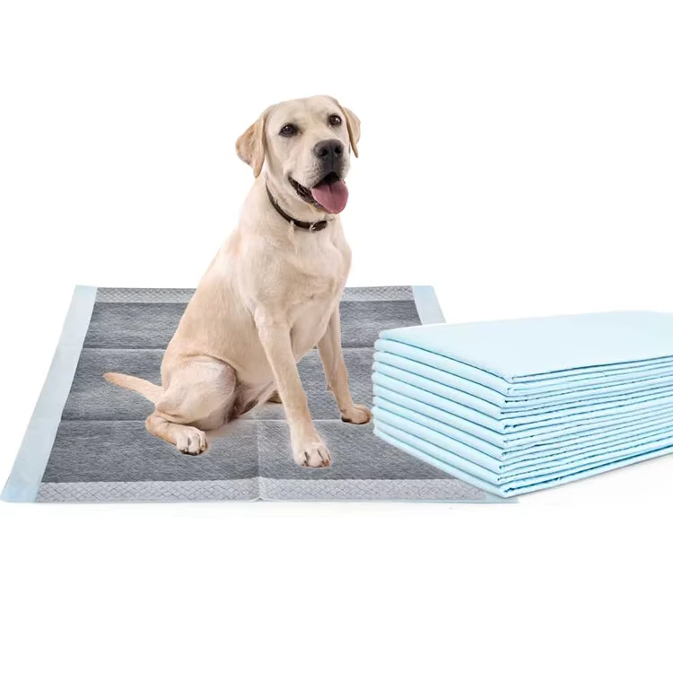 Dog-Pads-Super-Absorbent-Pet-Diaper-Training-Pee-Pads-Disposable-Healthy-Nappy-Dog-Pads-With-Quick-Dry-Surface-Mat-2 Dog Pads Super Absorbent Pet Diaper Training Pee Pads Disposable Healthy Nappy Dog Pads With Quick Dry Surface Mat 2