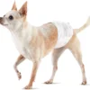 Dog Pet Diaper Disposable Strong Absorb Soft and Breathable for Female and Male 2 Dog Pet Diaper Disposable Strong Absorb Soft and Breathable for Female and Male 1
