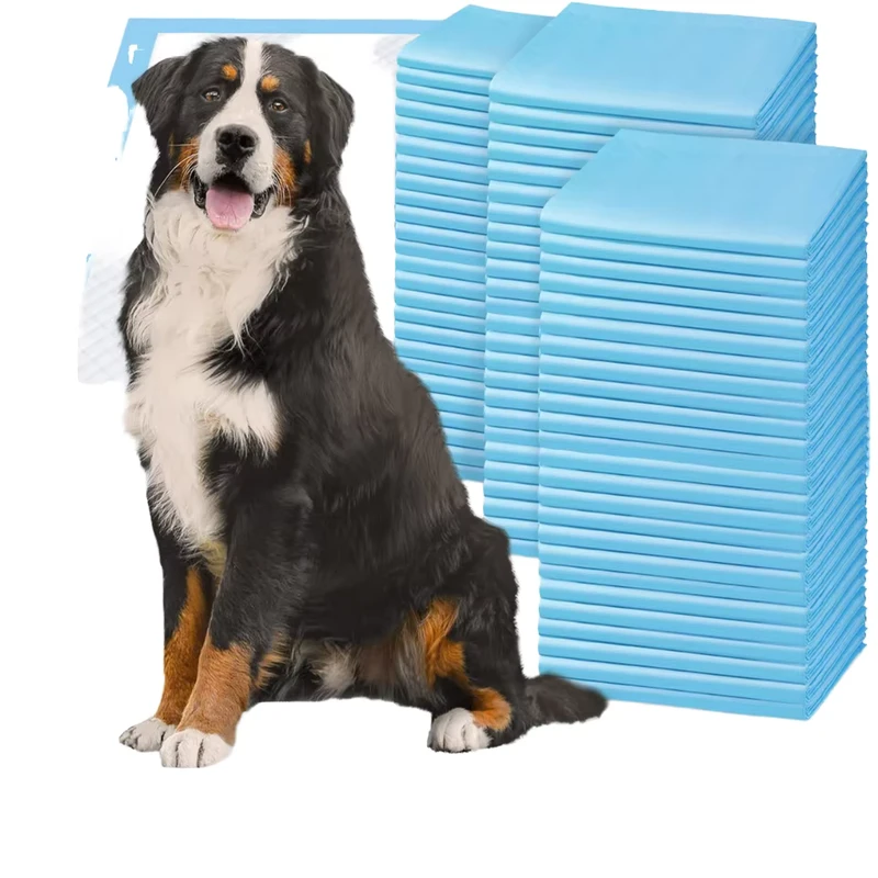 Dog-Urine-Pads-Thickened-Deodorizing-Absorbent-Pads-Sanitary-Pads-Urine-Diapers-for-Pets-1 Dog Urine Pads Thickened Deodorizing Absorbent Pads Sanitary Pads Urine Diapers for Pets 1