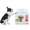 Eco friendly Disposable High Absorbent Female and Male Soft Outdoor Pet Wraps Dog Diapers 1 Eco friendly Disposable High Absorbent Female and Male Soft Outdoor Pet Wraps Dog Diapers 1