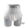 Elderly Incontinence Adults Diapers Pull up Disposable Training Pants for Adult Pull up Pants Diaper 1