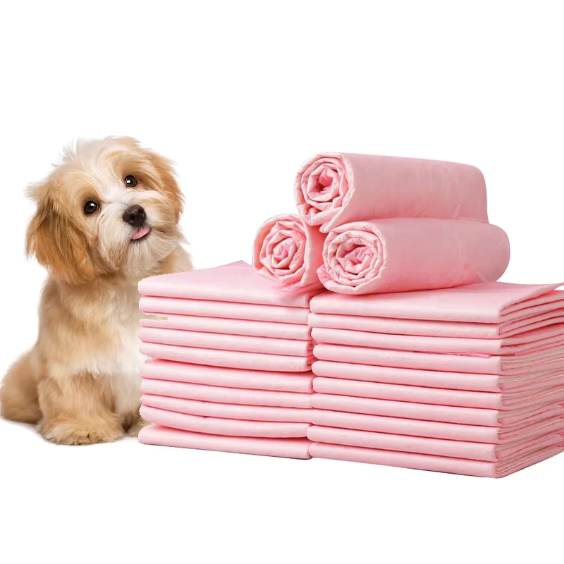 Extra-Large-Bulk-Disposable-Dog-Pee-Pads-Extra-Thick-Leak-Proof-Puppy-Training-Pads-Absorbent-Pet-Pee-Pads-for-Indoor-Use-1 Extra Large Bulk Disposable Dog Pee Pads Extra Thick Leak Proof Puppy Training Pads Absorbent Pet Pee Pads for Indoor Use 1