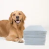 Extra Large Disposable Dog Training Pee Pads Super Absorbent Waterproof Adult Diaper Private Label 2 Extra Large Disposable Dog Training Pee Pads Super Absorbent Waterproof Adult Diaper Private Label