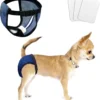 Factory Direct Adjustable Dog Diapers Breathable Mesh Washable Sanitary Pads for Female Dogs Cute Disposable Diapers for Summer 1