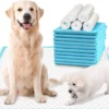 Factory Direct Eco-Friendly Fashion Pet Pads Custom Super Absorbent Disposable Training Pad Non-woven Biodegradable Urine Dog 2 Factory Direct Eco Friendly Fashion Pet Pads Custom Super Absorbent Disposable Training Pad Non woven Biodegradable Urine Dog 1
