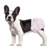 Factory Direct Pet Diapers for Dog Cat Waterproof Diapers Disposable Dog Diapers 2 Factory Direct Pet Diapers for Dog Cat Waterproof Diapers Disposable Dog Diapers 1
