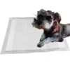 Factory Direct Sale Disposable Pet Diapers Super Absorbent Training Pads for Dogs and Cats 1 Factory Direct Sale Disposable Pet Diapers Super Absorbent Training Pads for Dogs and Cats