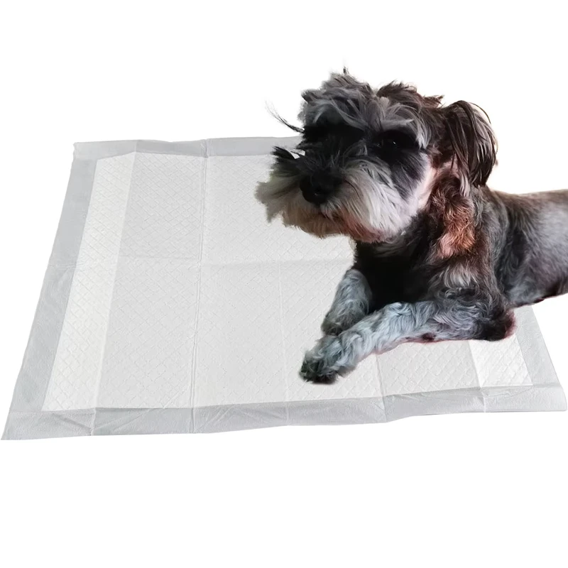Factory-Direct-Sale-Disposable-Pet-Diapers-Super-Absorbent-Training-Pads-for-Dogs-and-Cats Factory Direct Sale Disposable Pet Diapers Super Absorbent Training Pads for Dogs and Cats
