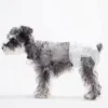 Factory Direct Sale Lightweight Comfort Pet Diaper Thin Style Dog Diaper for Pet Daily Running and Playing 1 Factory Direct Sale Lightweight Comfort Pet Diaper Thin Style Dog Diaper for Pet Daily Running and Playing
