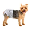 Factory Hot Selling Disposable Pet Care Supplies Pet Diapers Quick Dry Super Absorbent Diaper for Daily Use 2 Factory Hot Selling Disposable Pet Care Supplies Pet Diapers Quick Dry Super Absorbent Diaper for Daily Use