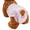 Factory Hot Selling Disposable Pet Care Supplies Pet Dog Diapers for Dog Quick Dry OEM Pet Diaper Super Absorbent 1
