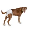 Factory Price High Absorbent Leak proof Disposable Dog Diapers for Female Dogs Pet Supplies 1 Factory Price High Absorbent Leak proof Disposable Dog Diapers for Female Dogs Pet Supplies