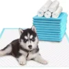 Factory Sale S M L XL Size Absorbent Hygienic Puppy Pet Pee Wee Pads Dogs Training Pad with Adhesive Sticker 2 Factory Sale S M L XL Size Absorbent Hygienic Puppy Pet Pee Wee Pads Dogs Training Pad with Adhesive Sticker