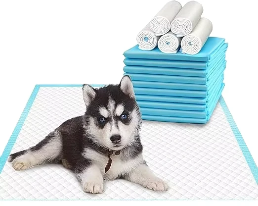 Factory-Sale-S-M-L-XL-Size-Absorbent-Hygienic-Puppy-Pet-Pee-Wee-Pads-Dogs-Training-Pad-with-Adhesive-Sticker Factory Sale S M L XL Size Absorbent Hygienic Puppy Pet Pee Wee Pads Dogs Training Pad with Adhesive Sticker