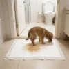 Fast Delivery Scented Dog Pee Pads High Absorbency Disposable Pet Training Pads Hygienic Puppy Pads with Adhesive Stickers 2 Fast Delivery Scented Dog Pee Pads High Absorbency Disposable Pet Training Pads Hygienic Puppy Pads with Adhesive Stickers