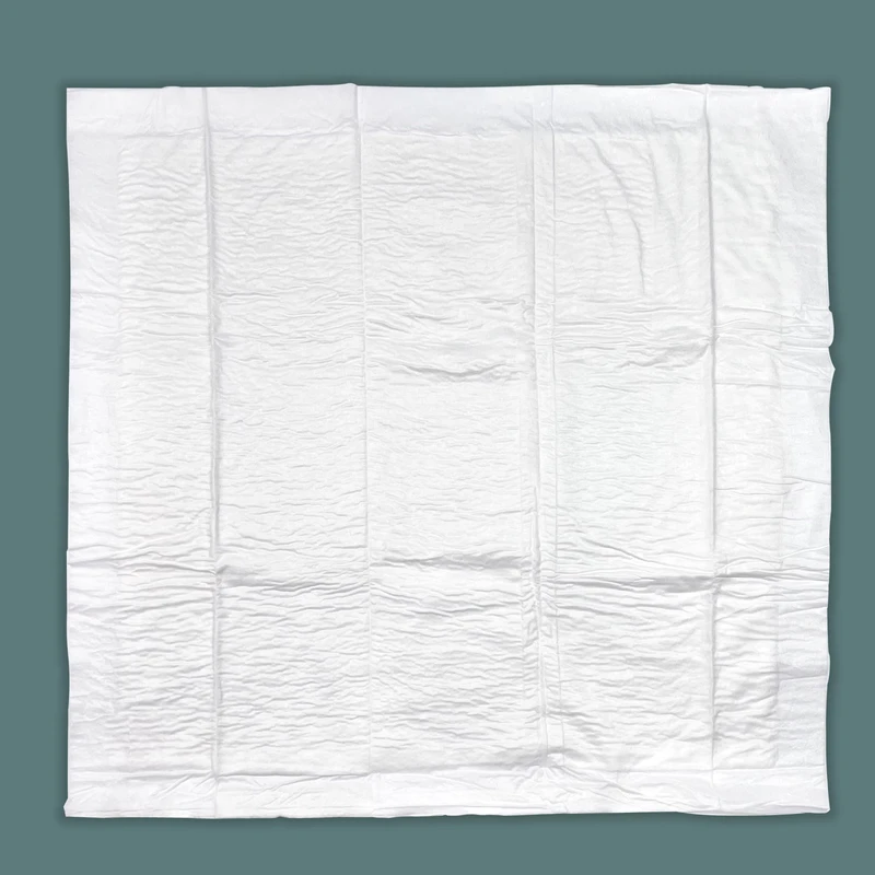 Free-Sample-Biodegradable-Sanitary-Pad-Underpad-Disposable-1 Free Sample Biodegradable Sanitary Pad Underpad Disposable 1