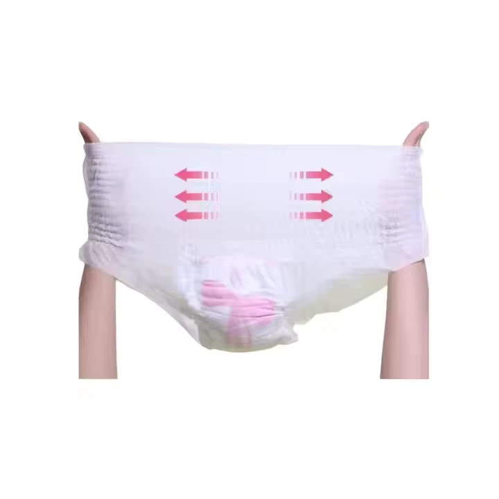 Free-Sample-Customization-Menstrual-Pants-360.-Leak-Proof-Disposable-Soft-Women-Incontinent-Sanitary-Lady-Panties Free Sample Customization Menstrual Pants 360. Leak Proof Disposable Soft Women Incontinent Sanitary Lady Panties