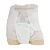 Free Sample Disposable High Absorption Dry Surface Breathable Soft Diapers for Adult 2 Free Sample Disposable High Absorption Dry Surface Breathable Soft Diapers for Adult