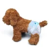 Free Sample Japanese Korean Pet Dog Diapers Nappies 1