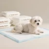 Free Sample OEM Custom Environmentally Friendly Bamboo Pet Pads Disposable Odor Control Cat and Dog PEE Pads for Pets 2 Free Sample OEM Custom Environmentally Friendly Bamboo Pet Pads Disposable Odor Control Cat and Dog PEE Pads for Pets 1