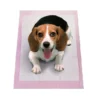 Heavy Duty Quick dry Microfiber Super Absorbent Puppy Pee Pad 5 Layer Protection 100 50 40 20 Pcs Multi Size Pet Diaper 2 Heavy Duty Quick dry Microfiber Super Absorbent Puppy Pee Pad 5 Layer Protection 100 50 40 20 Pcs Multi Size Pet Diaper