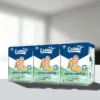 High Absorbent 3D Leak Prevention Non Woven Fabric Cartoon New Adult Diapers Custom Printed Bulk Disposable Free Sample 2 High Absorbent 3D Leak Prevention Non Woven Fabric Cartoon New Adult Diapers Custom Printed Bulk Disposable Free Sample
